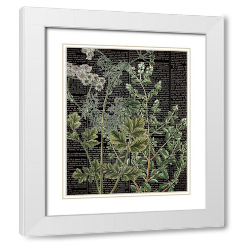 Botanical Newspaper 1 White Modern Wood Framed Art Print with Double Matting by Bailey, Ann