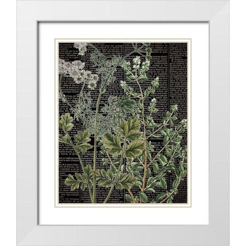 Botanical Newspaper 1 White Modern Wood Framed Art Print with Double Matting by Bailey, Ann