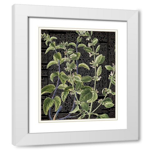 Botanical Newspaper 2 White Modern Wood Framed Art Print with Double Matting by Bailey, Ann