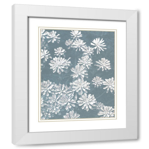 Blooms Falling v2 White Modern Wood Framed Art Print with Double Matting by Bailey, Ann