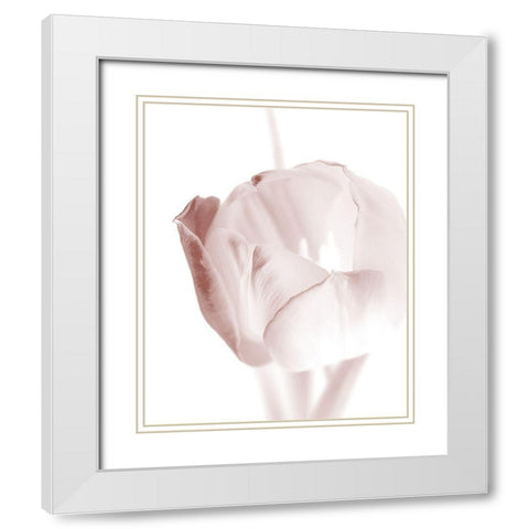 Tulip 2 White Modern Wood Framed Art Print with Double Matting by Bailey, Ann