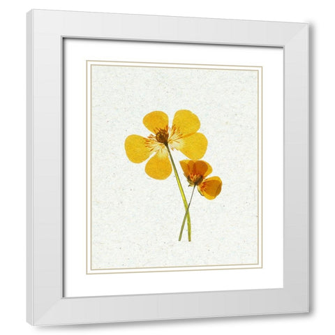 Little 1 White Modern Wood Framed Art Print with Double Matting by Bailey, Ann