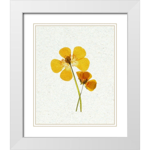 Little 1 White Modern Wood Framed Art Print with Double Matting by Bailey, Ann