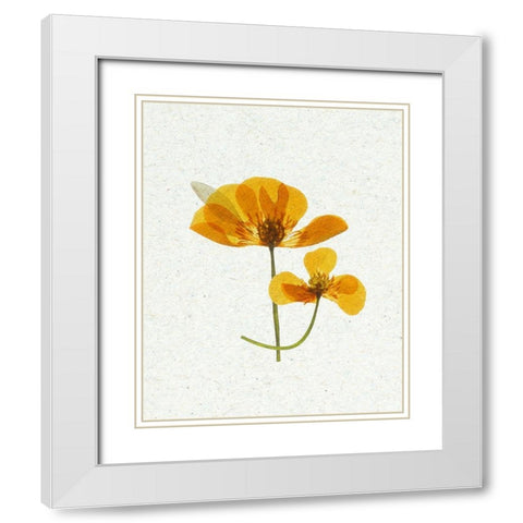 Little 2 White Modern Wood Framed Art Print with Double Matting by Bailey, Ann