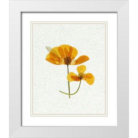 Little 2 White Modern Wood Framed Art Print with Double Matting by Bailey, Ann