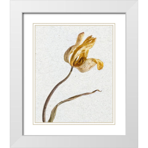 Pressed 3 White Modern Wood Framed Art Print with Double Matting by Bailey, Ann