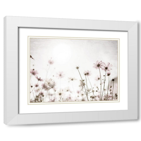 Soft Spring White Modern Wood Framed Art Print with Double Matting by Bailey, Ann