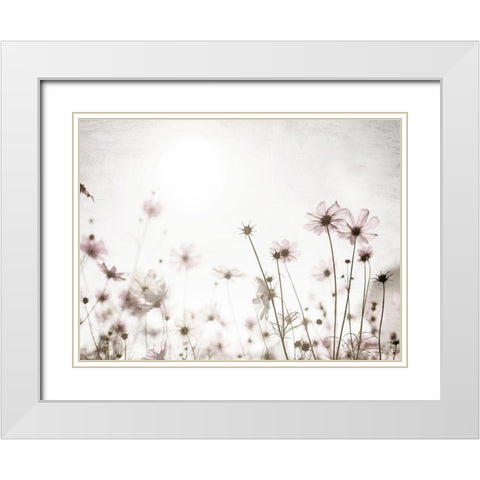 Soft Spring White Modern Wood Framed Art Print with Double Matting by Bailey, Ann
