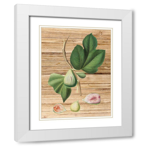 Pressed Fruit 2 White Modern Wood Framed Art Print with Double Matting by Bailey, Ann