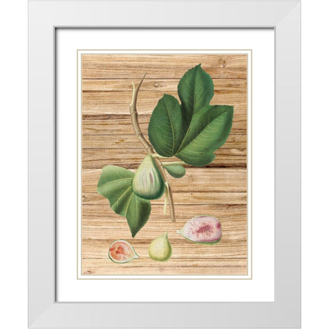 Pressed Fruit 2 White Modern Wood Framed Art Print with Double Matting by Bailey, Ann