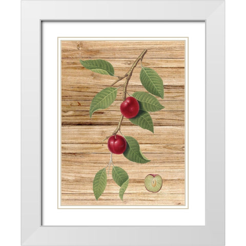 Pressed Fruit 3 White Modern Wood Framed Art Print with Double Matting by Bailey, Ann