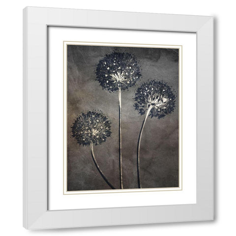 Puff 1 White Modern Wood Framed Art Print with Double Matting by Bailey, Ann