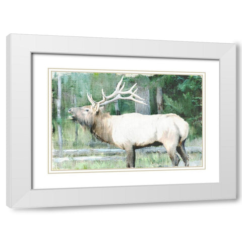Linen Pressed Elk White Modern Wood Framed Art Print with Double Matting by Bailey, Ann