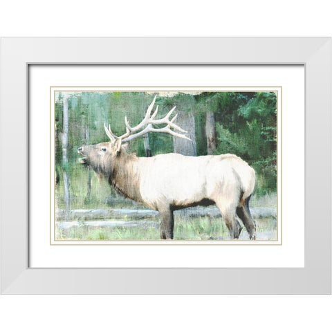 Linen Pressed Elk White Modern Wood Framed Art Print with Double Matting by Bailey, Ann