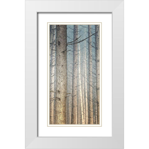 Forest Dreaming 1 White Modern Wood Framed Art Print with Double Matting by Bailey, Ann