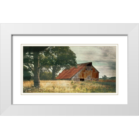 Country Life White Modern Wood Framed Art Print with Double Matting by Bailey, Ann