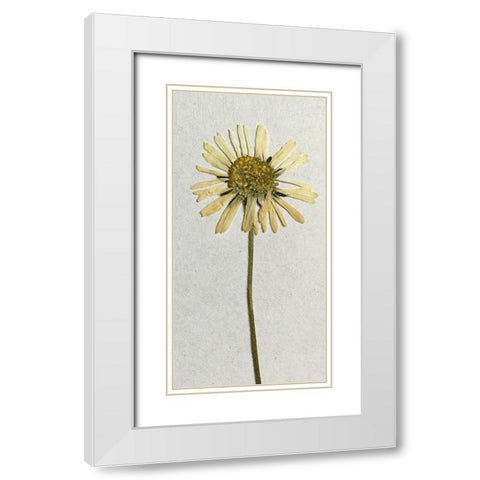 Happy 1 White Modern Wood Framed Art Print with Double Matting by Bailey, Ann