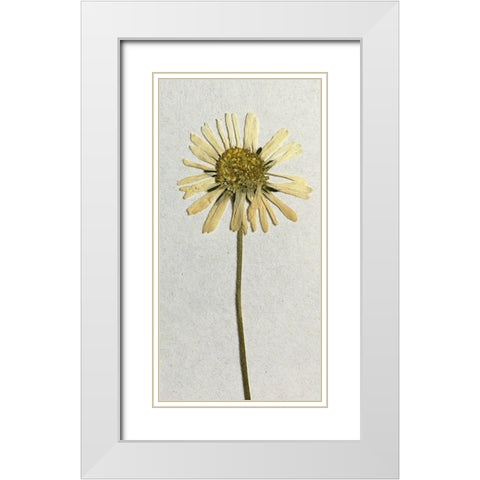 Happy 1 White Modern Wood Framed Art Print with Double Matting by Bailey, Ann