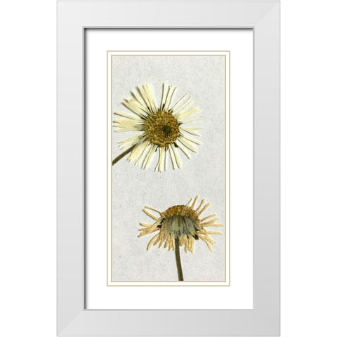 Happy 2 White Modern Wood Framed Art Print with Double Matting by Bailey, Ann