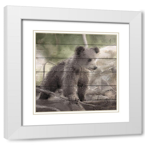 Bear Cub 1 White Modern Wood Framed Art Print with Double Matting by Bailey, Ann