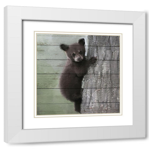 Bear Cub 2 White Modern Wood Framed Art Print with Double Matting by Bailey, Ann