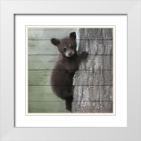 Bear Cub 2 White Modern Wood Framed Art Print with Double Matting by Bailey, Ann