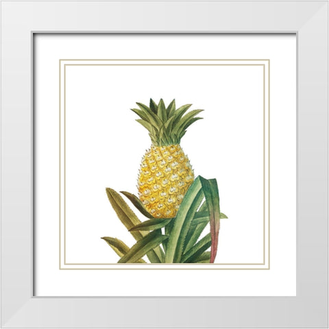 Aloha 4 White Modern Wood Framed Art Print with Double Matting by Bailey, Ann