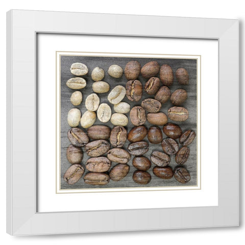 Coffee Beans 1 White Modern Wood Framed Art Print with Double Matting by Bailey, Ann