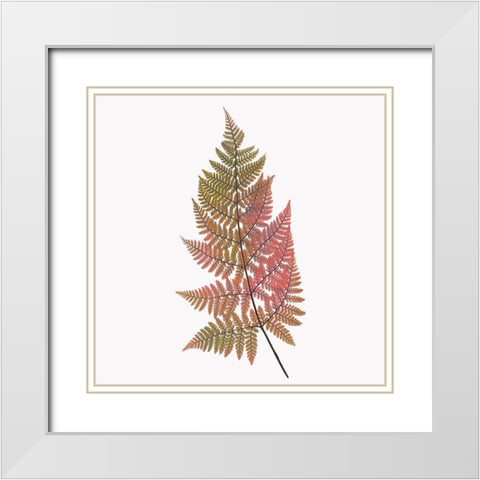 Coral Fern Gold 1 White Modern Wood Framed Art Print with Double Matting by Bailey, Ann