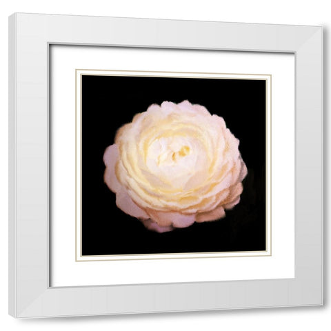 Rose Gold White Modern Wood Framed Art Print with Double Matting by Bailey, Ann