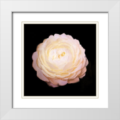 Rose Gold White Modern Wood Framed Art Print with Double Matting by Bailey, Ann