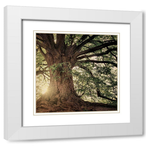 Explore Wander Adventure White Modern Wood Framed Art Print with Double Matting by Bailey, Ann