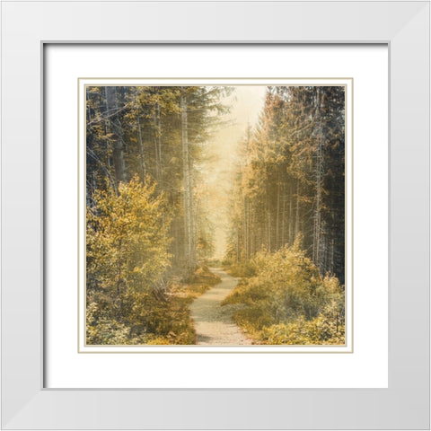 Golden Path White Modern Wood Framed Art Print with Double Matting by Bailey, Ann