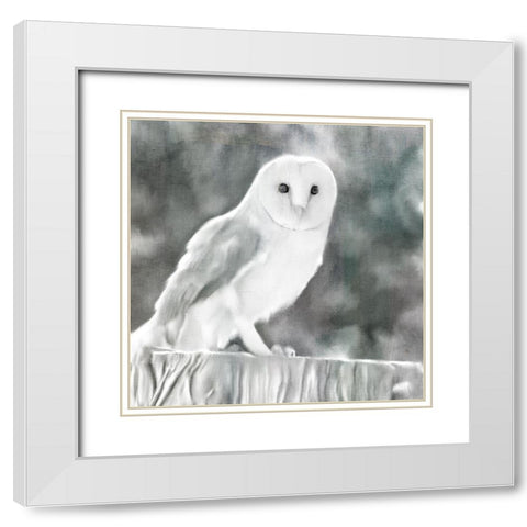 White Barn Owl White Modern Wood Framed Art Print with Double Matting by Bailey, Ann