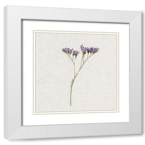 Dainty Purple 1 White Modern Wood Framed Art Print with Double Matting by Bailey, Ann