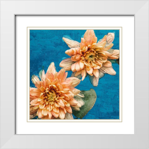 Orange Chrysanthemums White Modern Wood Framed Art Print with Double Matting by Bailey, Ann