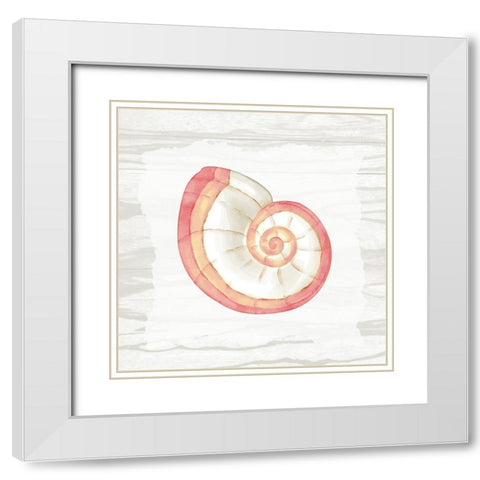 Coral Shells On Wood 1 White Modern Wood Framed Art Print with Double Matting by Bailey, Ann