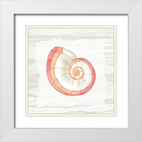 Coral Shells On Wood 1 White Modern Wood Framed Art Print with Double Matting by Bailey, Ann
