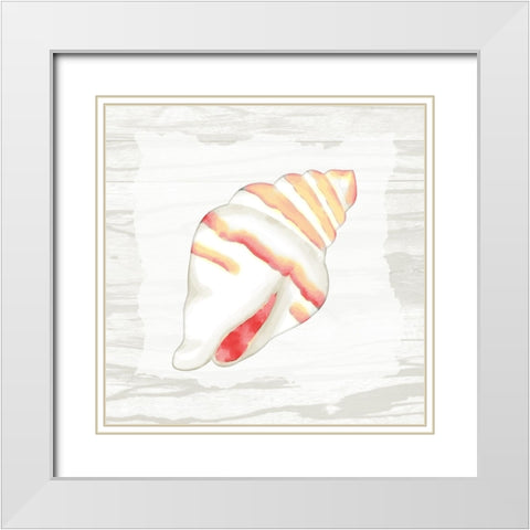 Coral Shells On Wood 2 White Modern Wood Framed Art Print with Double Matting by Bailey, Ann