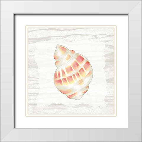 Coral Shells On Wood 3 White Modern Wood Framed Art Print with Double Matting by Bailey, Ann