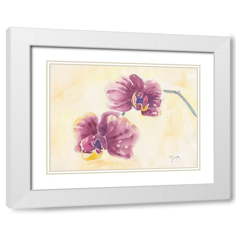 Graceful Orchid White Modern Wood Framed Art Print with Double Matting by Dyer, Beverly
