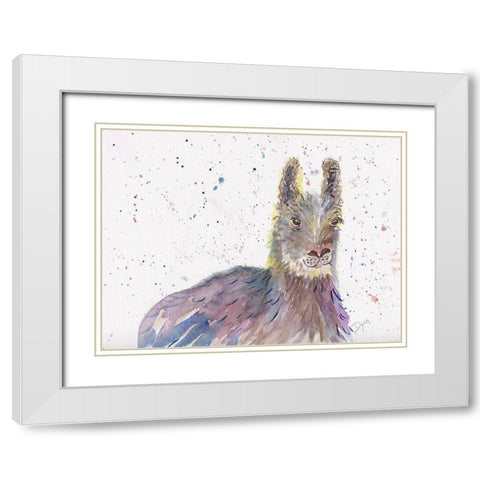 Llama Senor White Modern Wood Framed Art Print with Double Matting by Dyer, Beverly