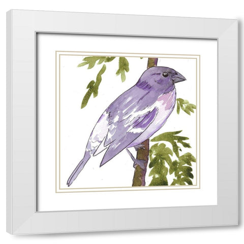 Vibrant Bird 1 White Modern Wood Framed Art Print with Double Matting by Dyer, Beverly