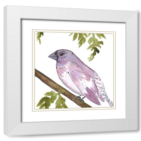 Vibrant Bird 2 White Modern Wood Framed Art Print with Double Matting by Dyer, Beverly