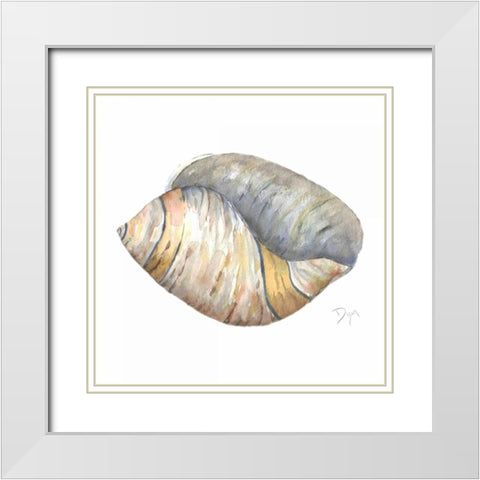 Sea Shell Neutral 1 White Modern Wood Framed Art Print with Double Matting by Dyer, Beverly