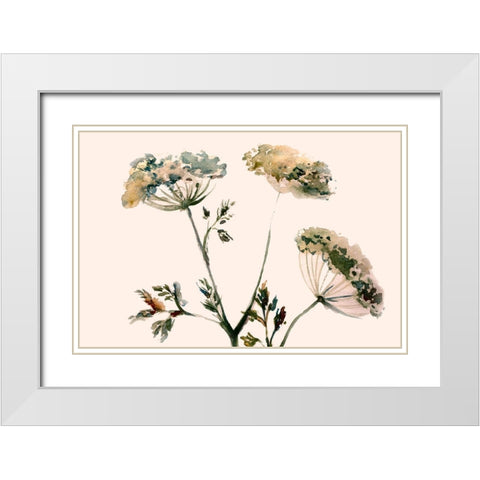Queens Flowers White Modern Wood Framed Art Print with Double Matting by Boho Hue Studio