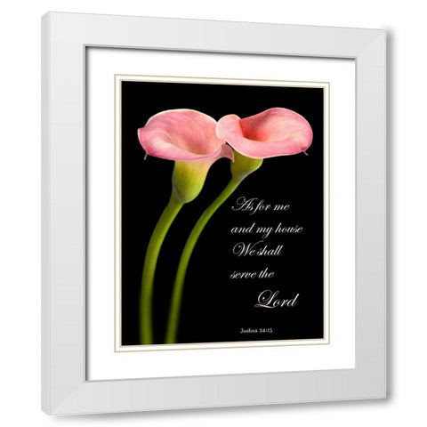 Joshua 24.15 Calla Lilies White Modern Wood Framed Art Print with Double Matting by Seidman, Barry