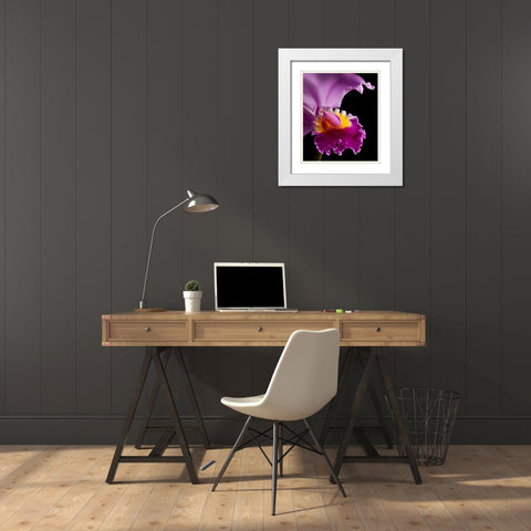 Purple Orchid White Modern Wood Framed Art Print with Double Matting by Seidman, Barry