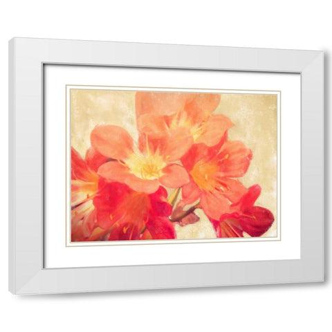 Sun Fire Florals White Modern Wood Framed Art Print with Double Matting by Alvarez, Cynthia