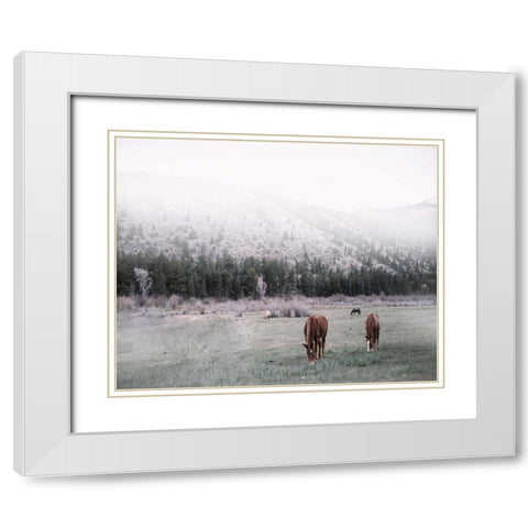 Grazing White Modern Wood Framed Art Print with Double Matting by Alvarez, Cynthia
